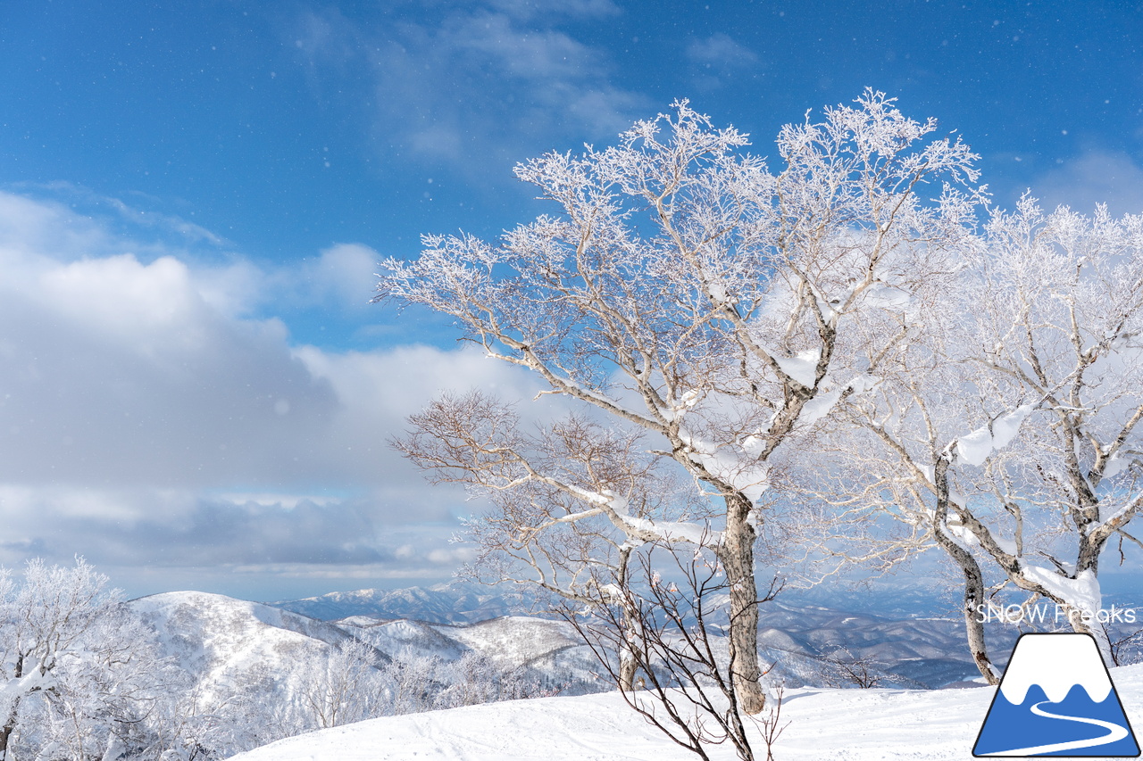 キロロリゾート｜真っ白な雪と真っ青な空。粉雪ゲレンデクルージングが気持ち良いキロロ。この週末は『Sweet Protection 試着会』も開催中！
